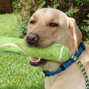 Meet your Posher, Alton